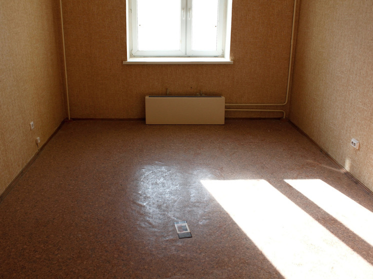 Материнский капитал в России в большинстве случаев идет на решение «квартирного вопроса»