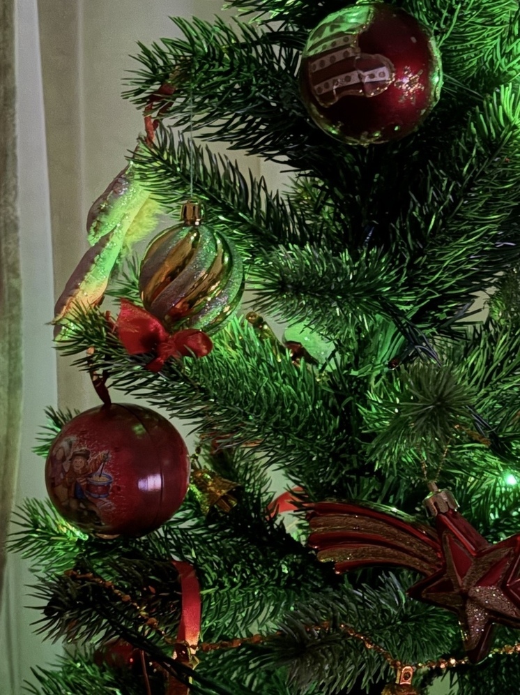 Глава Следственного комитета Запорожской области воплотил в жизнь мечты маленьких мелитопольцев