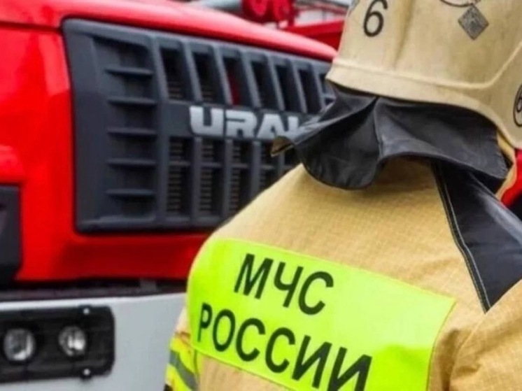 За неделю в Новосибирской области на пожарах погибли шесть человек