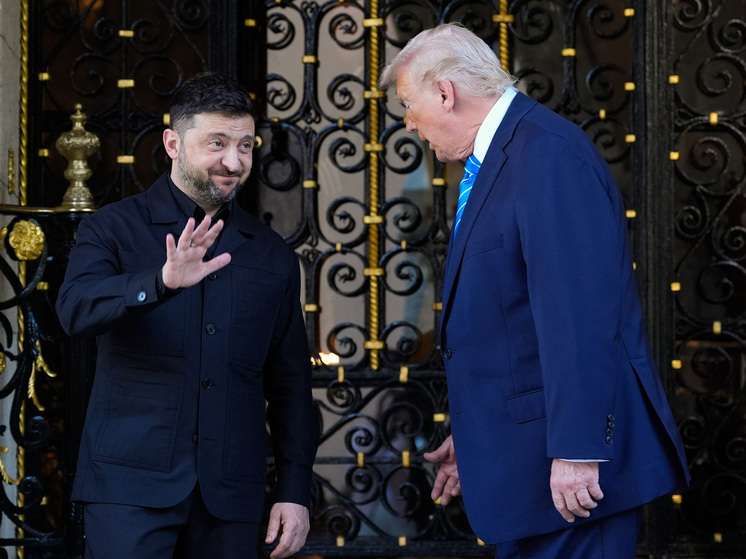 Политолог Баширов рассказал о значимых сигналах переговоров Трампа и Зеленского