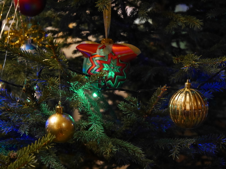 Елочные экоигрушки могут создать вологжане