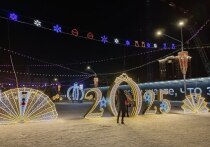  В конце декабря редакция «МК на Алтае» решила подвести итоги уходящего 2025-го года и вспомнить его самые главные события. 