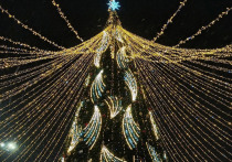 В преддверии новогодних праздников региональный Роспотребнадзор дал орловчанам рекомендации по выбору игрушек для детей