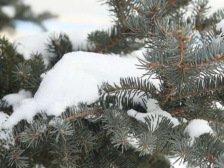 Снег накроет Волгоградскую область 30 декабря
