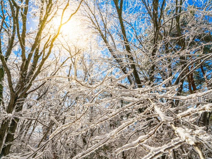 Последний рабочий день 2025 года в Красноярске будет морозным