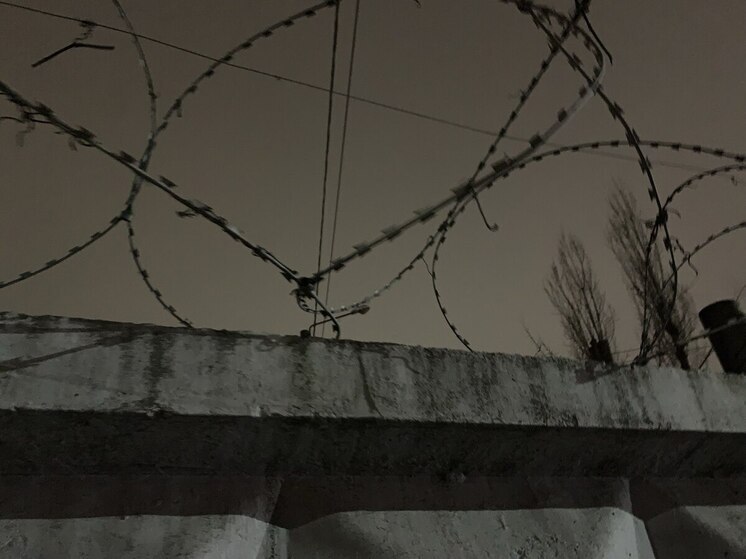 Жительница Воронежа приговорена к 7 годам колонии за убийство