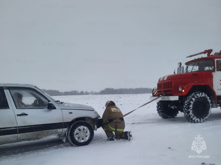 Пожарные Орловской области спасли беременную женщину из снежного плена