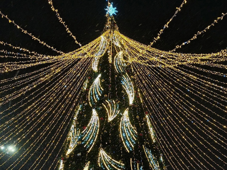 В преддверии новогодних праздников региональный Роспотребнадзор дал орловчанам рекомендации по выбору игрушек для детей