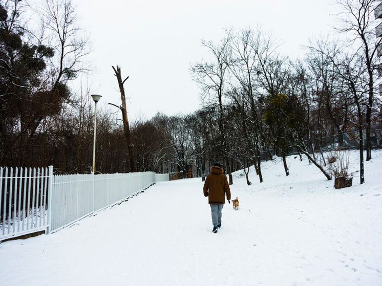 30 декабря Липецкую область накроет умеренным снегом