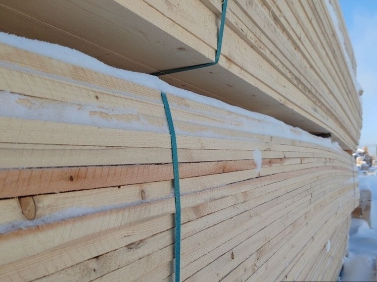 Россельхознадзор подтвердил безопасность кузбасского леса перед экспортом