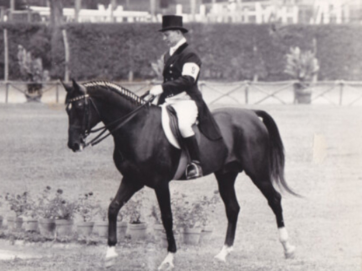 Конь-красавец отрастил гриву длиной более 4 метров