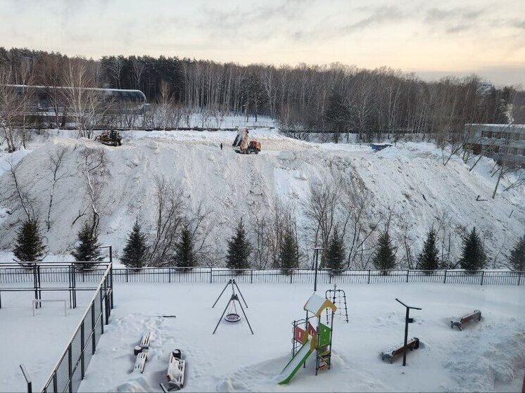 В Новосибирске снесут снегоотвал у детской площадки на улице Объединения