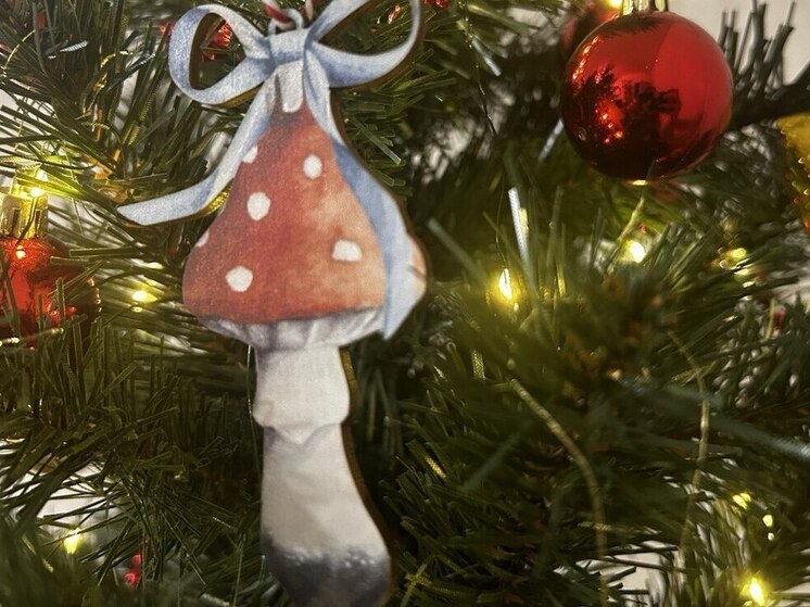 Белгородка после корпоратива сняла гирлянду с елки у кофейни