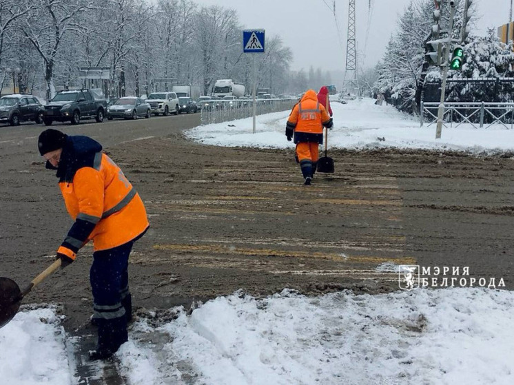 217 коммунальщиков и 73 единицы спецтехники убирают улицы Белгорода от снега