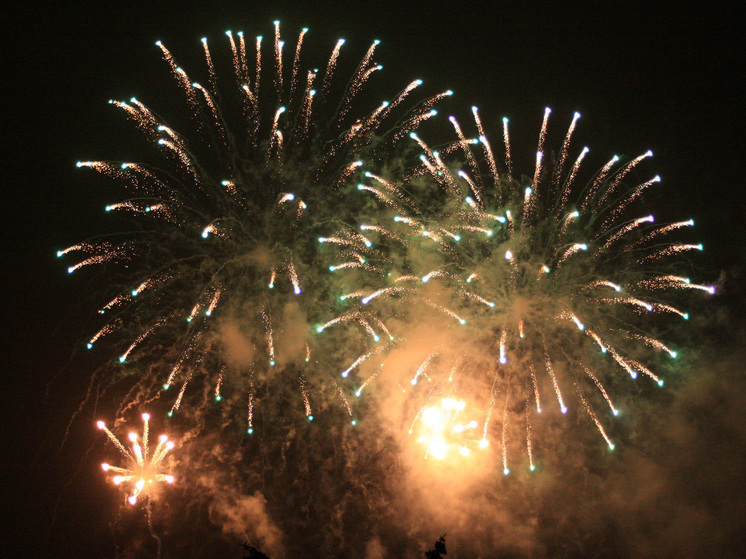 Эксперт предупредила об опасности фейерверков для собак в новогоднюю ночь