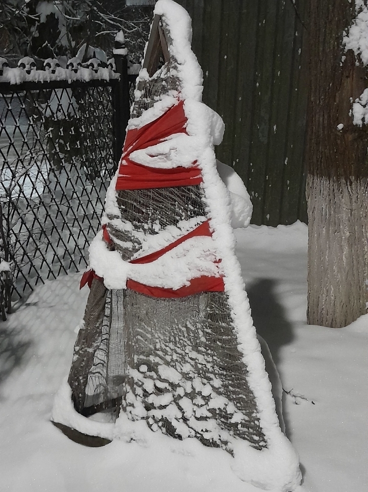 В калужском парке Циолковского украсили ямы