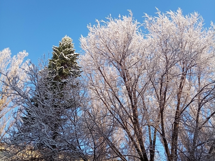 Сила магнитной бури 30 декабря составит 5 баллов: благоприятный период для начала новых дел