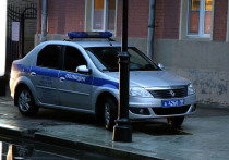 Стали известны новые детали поисков жертв «богородского маньяка» Дмитрия Артамошина