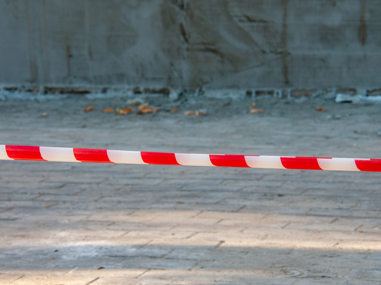 РЕН ТВ: найдены тела девушек, убитых "богородским маньяком"