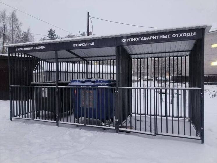 Старорусцам пообещали вовремя вывозить мусор в новогодние праздники