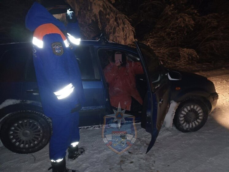 Спасатели искали женщину, заблудившуюся в лесу в метель в Кировском районе