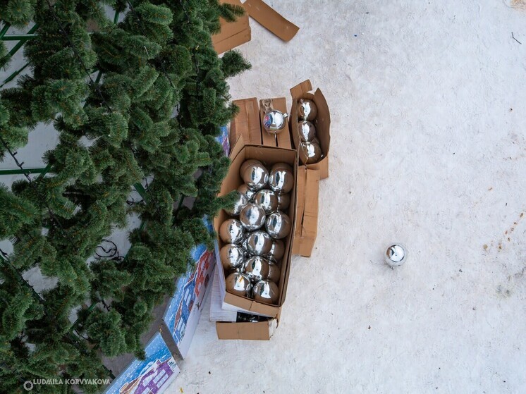 Названы самые высокие новогодние елки в мире