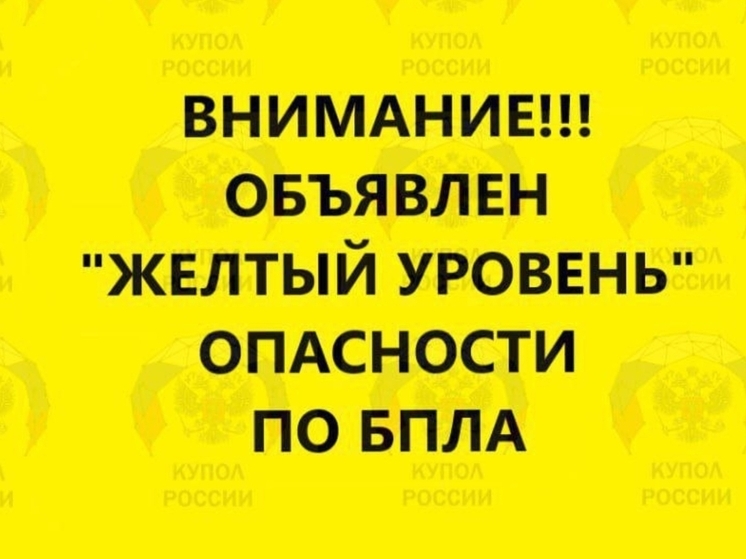 Вечером 29 декабря в Ростовской области объявили жёлтый уровень опасности по БПЛА