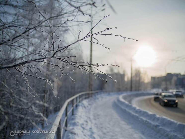 30 декабря в Карелии ожидается комфортная зимняя погода