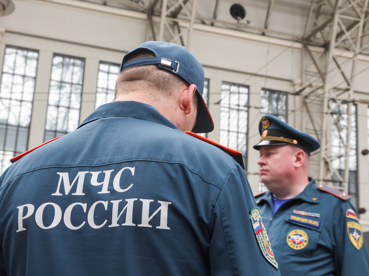 МЧС: причиной пожара с четырьмя погибшими на Камчатке стал открытый огонь