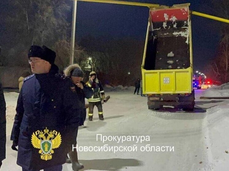 Тысячи жителей остались без отопления в морозы в Бердске