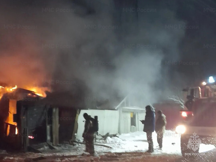 В МЧС Курской области рассказали подробности пожара, в котором погиб 10-летний мальчик