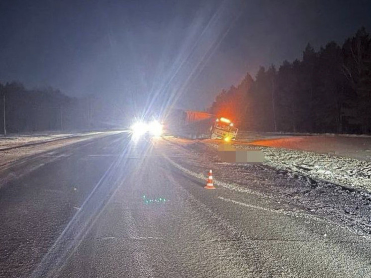 КамАЗ насмерть сбил пешехода на Чуйском тракте в Искитимском районе