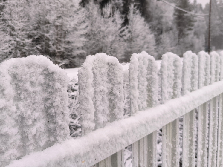 Вильфанд предупредил о похолодании в новогоднюю ночь в Москве