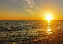 На Мальдивах при загадочных обстоятельствах исчез 48-летний житель Барнаула Роман Юрочкин