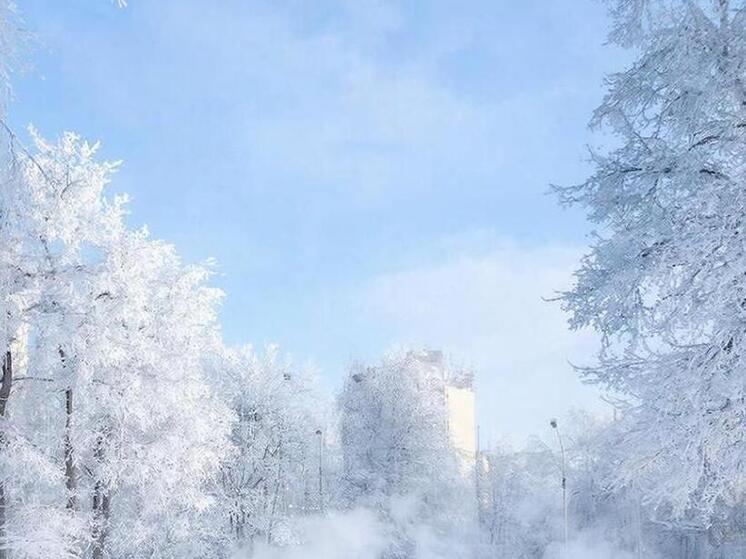 Курскую область 30 декабря накроют снегопады, морозы усилятся до -9 градусов