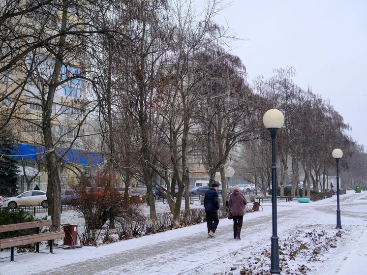 Волгоградцам 30 декабря обещают снег и гололедицу