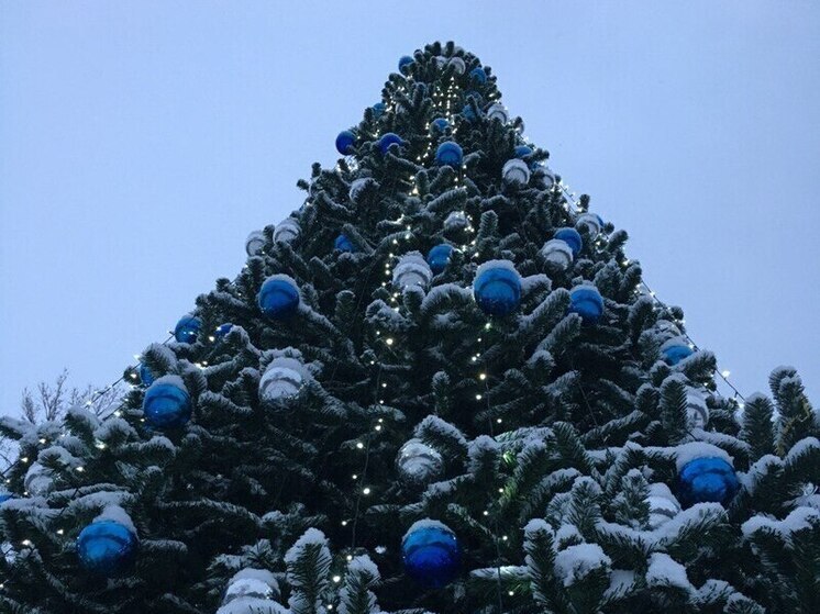 30 декабря в Воронежской области будет снежно и морозно