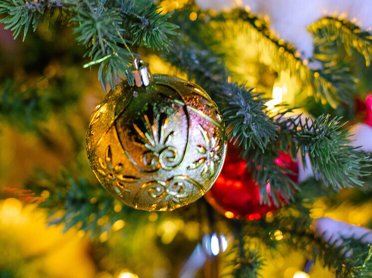 Во Владивостоке полиция изъяла более 150 незаконно продаваемых ёлок