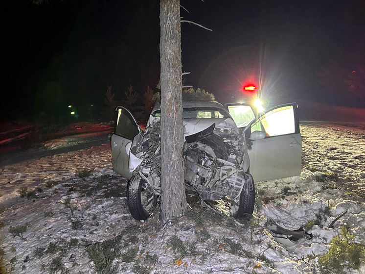 В Бурятии водитель иномарки погиб, врезавшись в дерево