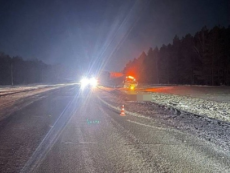 Большегруз насмерть сбил мужчину на трассе Новосибирск— Барнаул
