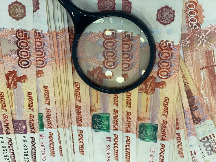 В России с 2026 года руководители организаций будут обязаны вносить страховые взносы, даже при отсутствии дохода