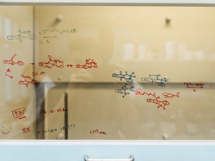 В Омском государственном университете им