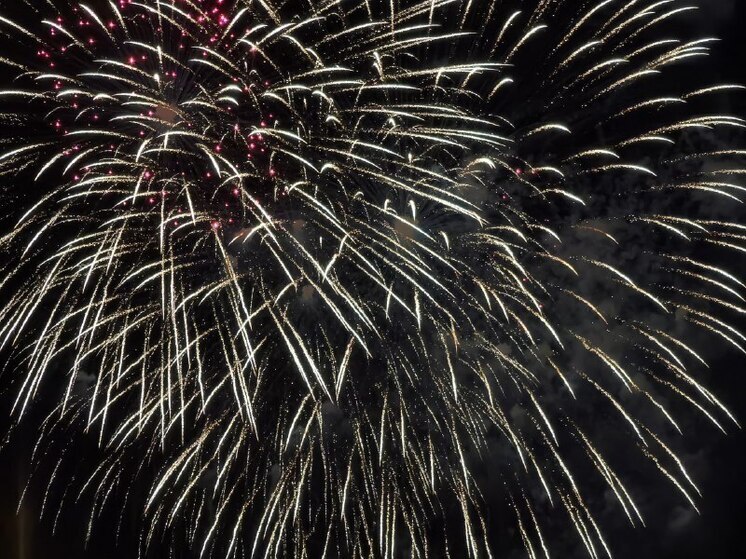 Чтобы новогодние салюты над Владивостоком, Находкой или Арсеньевом принесли только радость, а не стали причиной беды, специалисты МЧС по Приморскому краю напоминают о строгих правилах безопасности