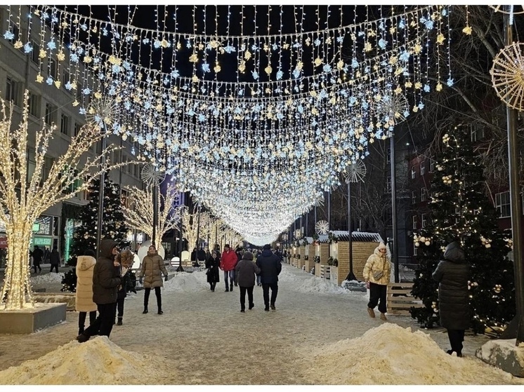 От маркетов в библиотеках до фермерских ярмарок: как устроены новогодние площадки Новосибирска в 2025 году