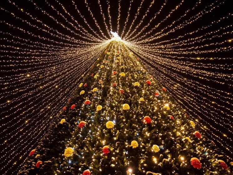 Энергетики «Мариэнерго» напоминают о правилах электробезопасности во время новогодних и рождественских праздников