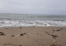 Более 3000 мигрантов погибли, пытаясь добраться до Испании в 2025 году