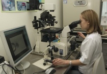 Ученые с помощью искусственного интеллекта обнаружили два новых подтипа рассеянного склероза, что открывает путь к индивидуальному лечению и улучшению результатов для пациентов