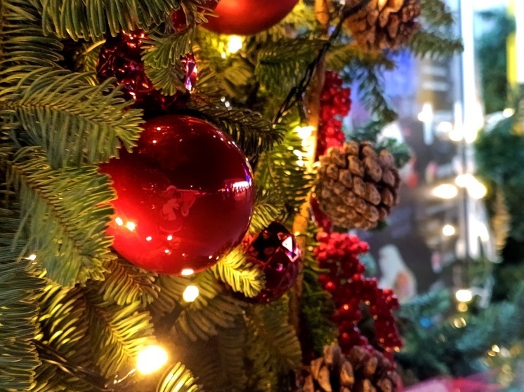 Кисловодск, жемчужина Северного Кавказа, славится не только своими лечебными водами и живописными пейзажами, но и уникальным многонациональным колоритом. 