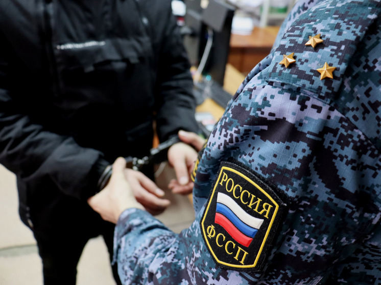 Самарец выплатил дочери алименты в 1,8 млн рублей после вмешательства приставов