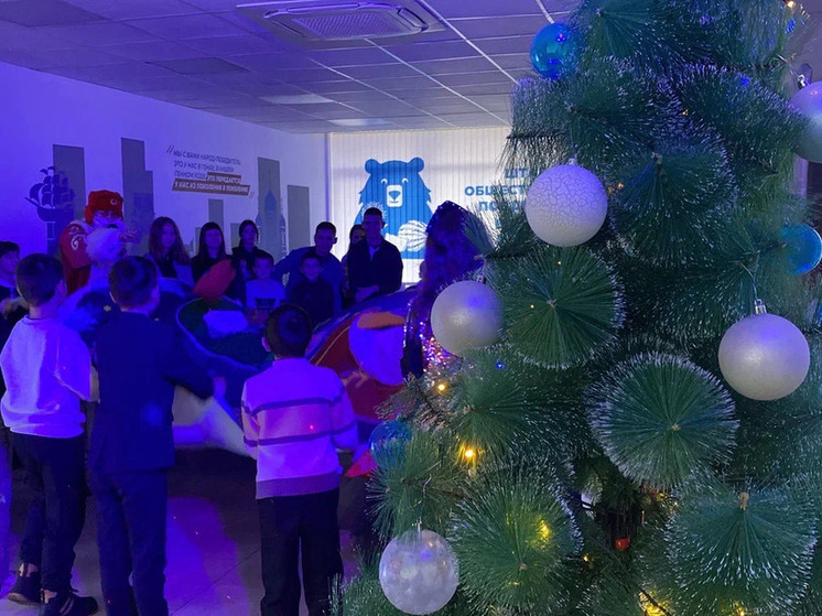 Региональное отделение партии «Единая Россия» провело еще одну новогоднюю «ёлку» для многодетных семей и детей активистов партии, детей из прифронтовых округов